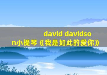 david davidson小提琴《我是如此的爱你》